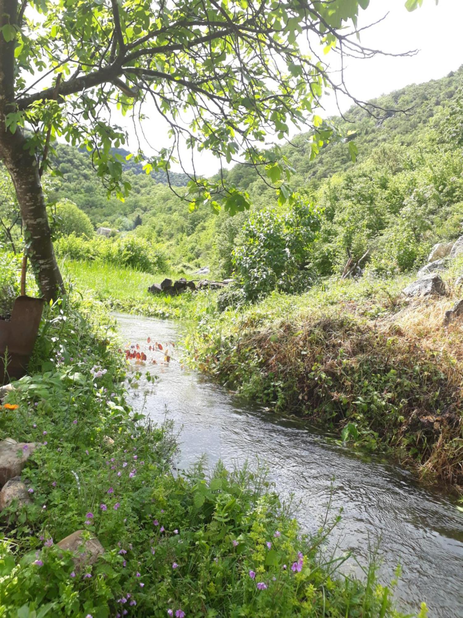 Hotel Camp Sunny Hills Virpazar Esterno foto