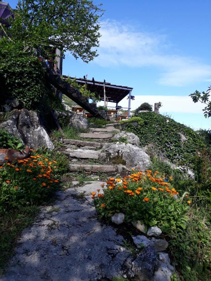 Hotel Camp Sunny Hills Virpazar Esterno foto