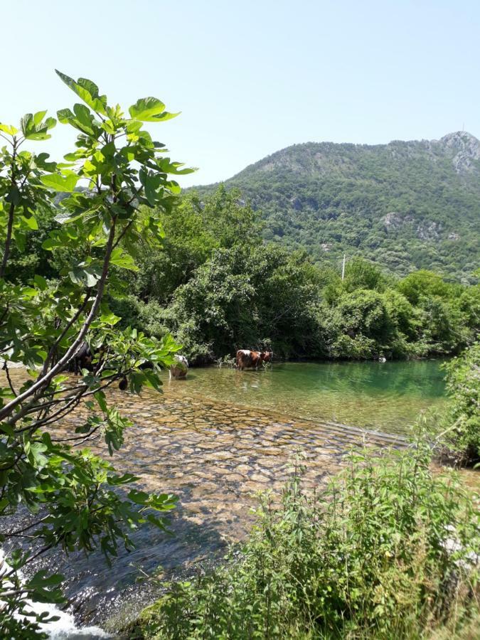 Hotel Camp Sunny Hills Virpazar Esterno foto