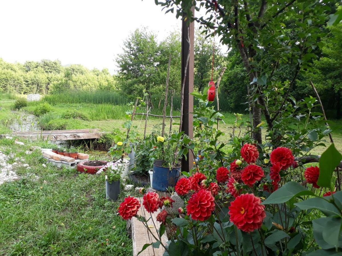 Hotel Camp Sunny Hills Virpazar Esterno foto