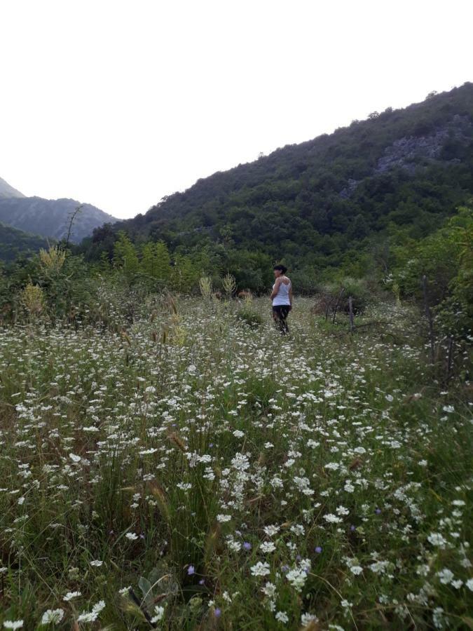 Hotel Camp Sunny Hills Virpazar Esterno foto